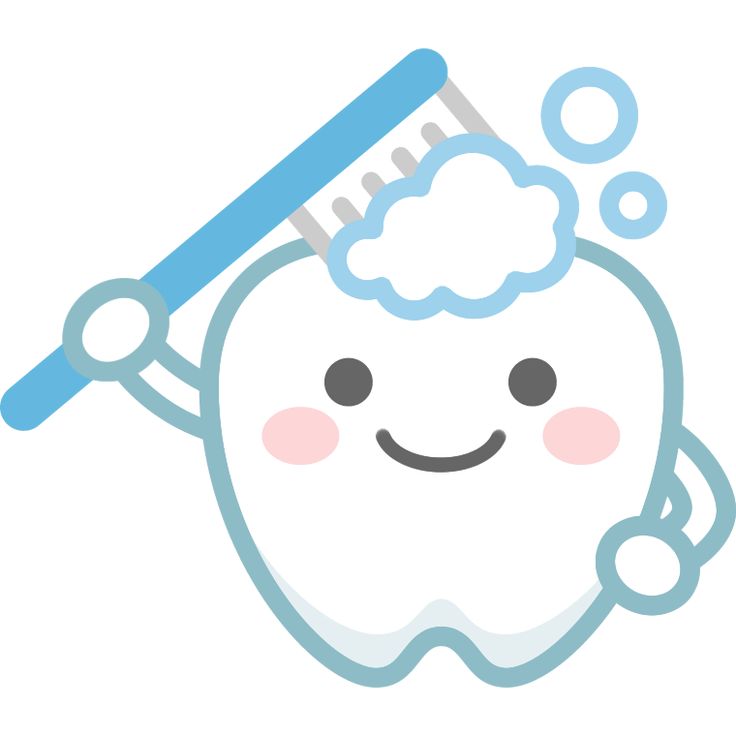毎日の歯磨きについて🪥 画像